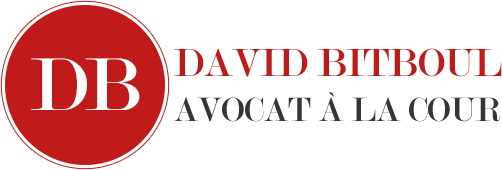 David Bitboul Avocat